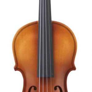 Violín Amadeus VA-101